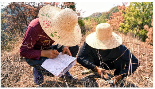 【决战决胜四季度——劳动竞赛专栏】地勘院篇